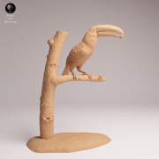 Toco Toucan Eat - 3.png
