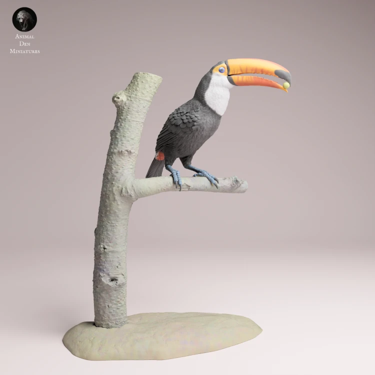 Toco Toucan Eat - 4.png