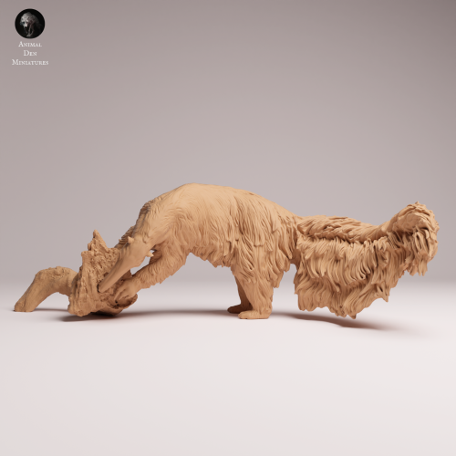 Giant Anteater Eat - 1.png