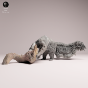 Giant Anteater Eat - 4.png