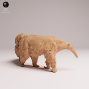 Giant Anteater with Pup - 2.png