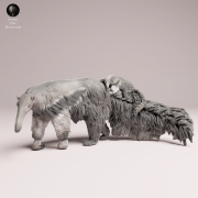 Giant Anteater with Pup - 4.png