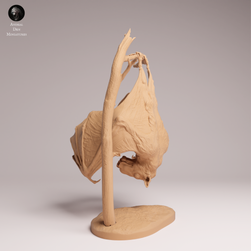 Hammer Headed Bat - 1.png