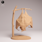 Hammer Headed Bat - 2.png