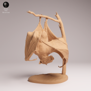 Hammer Headed Bat - 3.png
