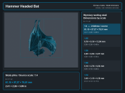 Hammer Headed Bat - 5.png