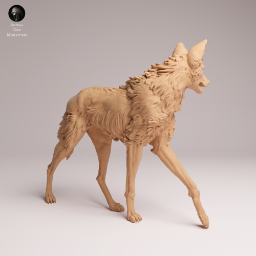 Maned Wolf - 1.png