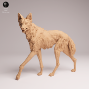 Maned Wolf - 3.png