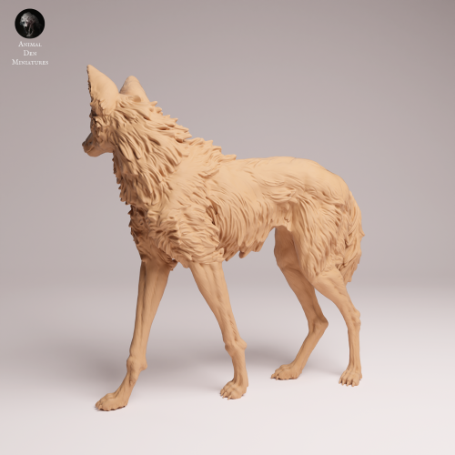 Maned Wolf Standing - 1.png