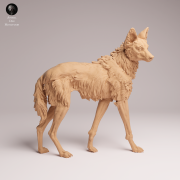 Maned Wolf Standing - 2.png