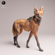 Maned Wolf Standing - 4.png