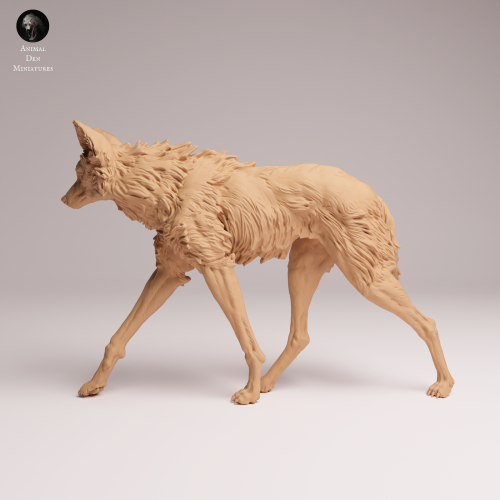Maned Wolf Walk - 1.png