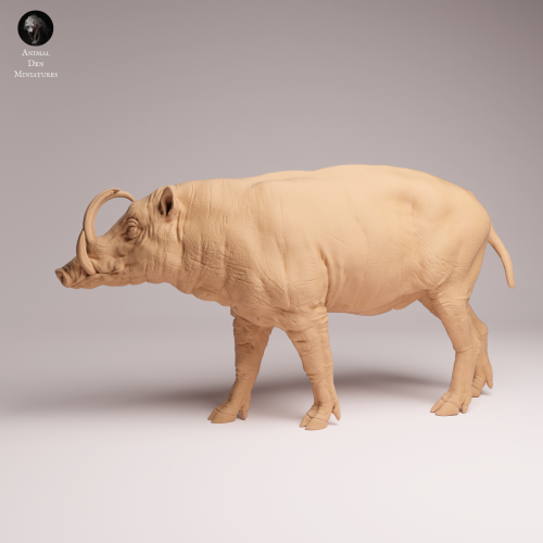 North Sulawesi Babirusa Boar - 1.png