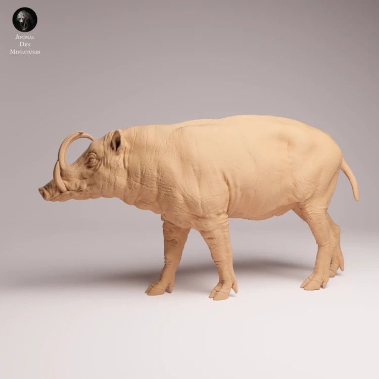 North Sulawesi Babirusa Boar - 1.png