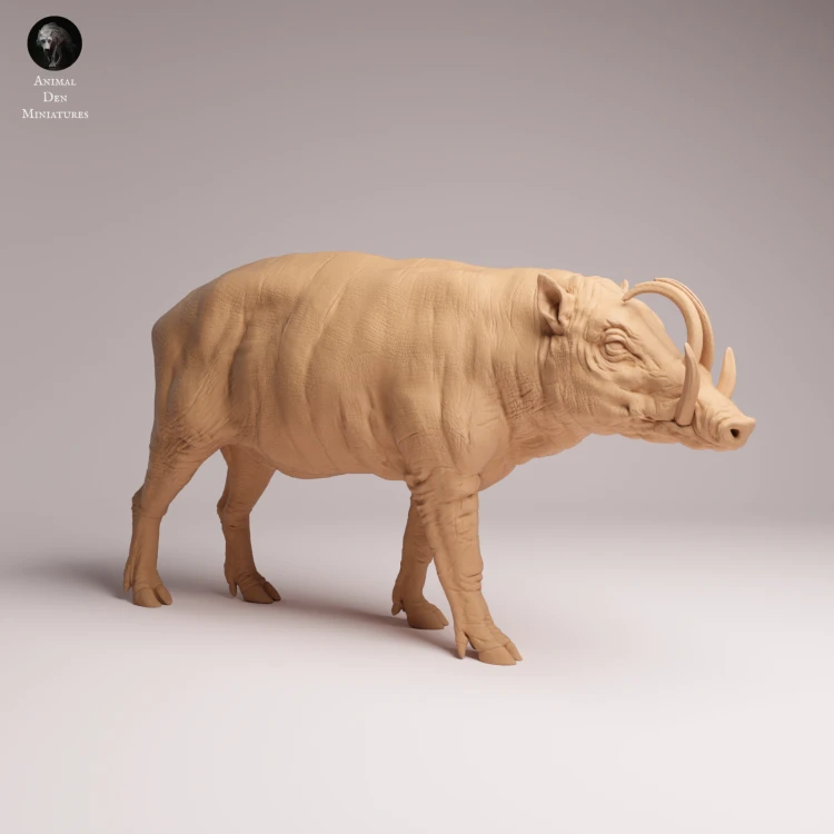North Sulawesi Babirusa Boar - 3.png
