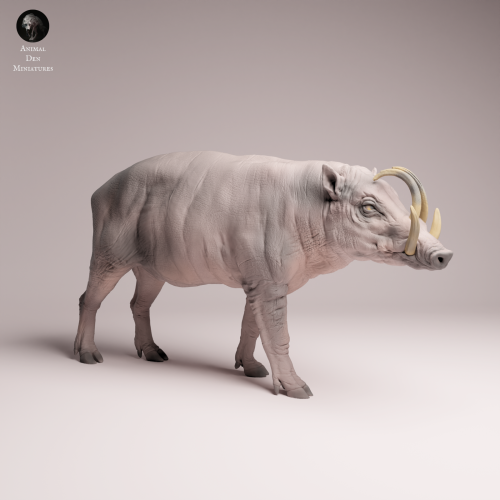North Sulawesi Babirusa Boar - 4.png