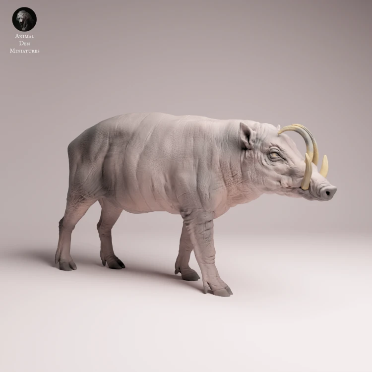 North Sulawesi Babirusa Boar - 4.png