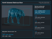 North Sulawesi Babirusa Boar - 5.png