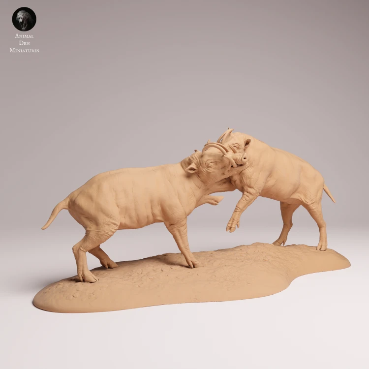North Sulawesi Babirusa Fight - 2.png