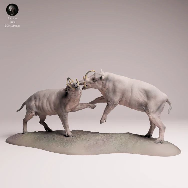 North Sulawesi Babirusa Fight - 4.png