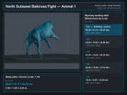 North Sulawesi Babirusa Fight - 5.png