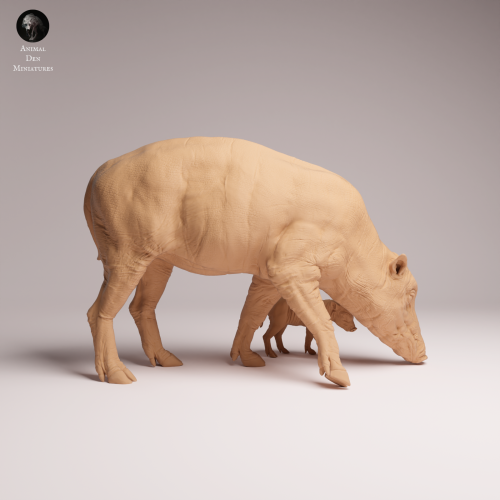 North Sulawesi Babirusa Piglet - 1.png