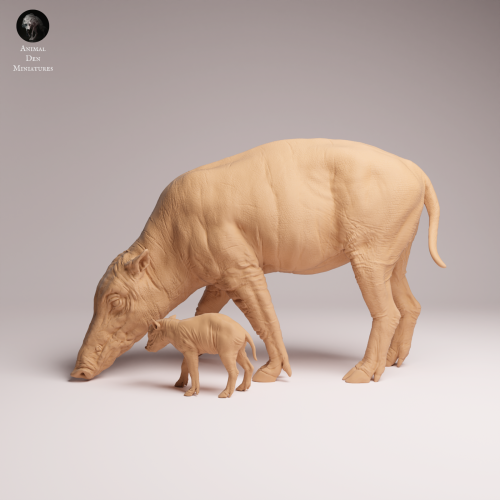 North Sulawesi Babirusa Piglet - 2.png
