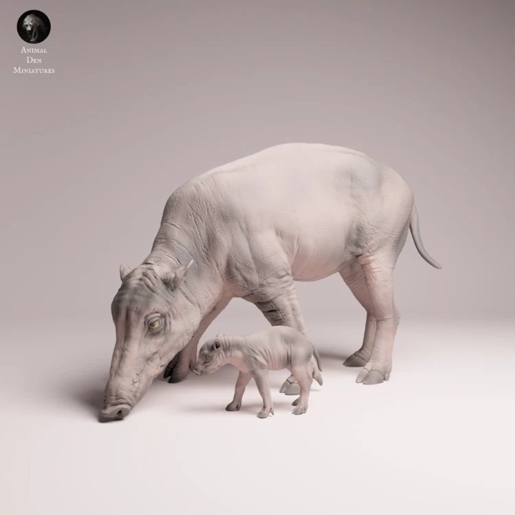 North Sulawesi Babirusa Piglet - 4.png