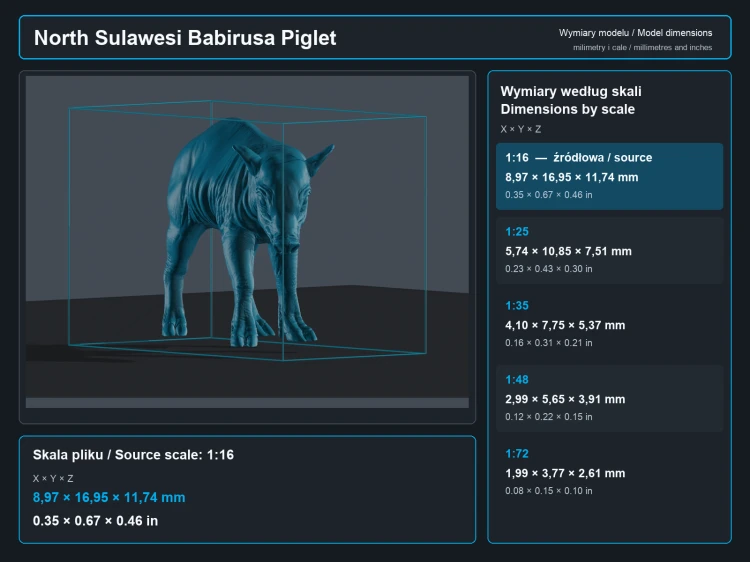 North Sulawesi Babirusa Piglet - 5.png