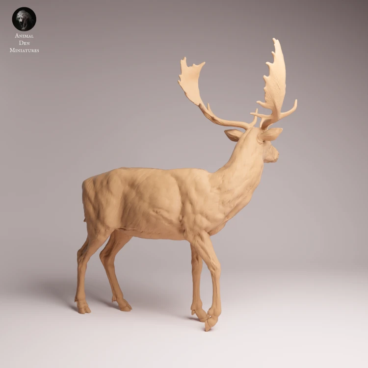 European Fallow Deer - 1.png