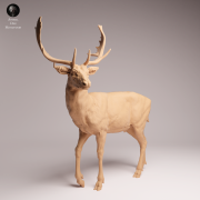 European Fallow Deer - 2.png
