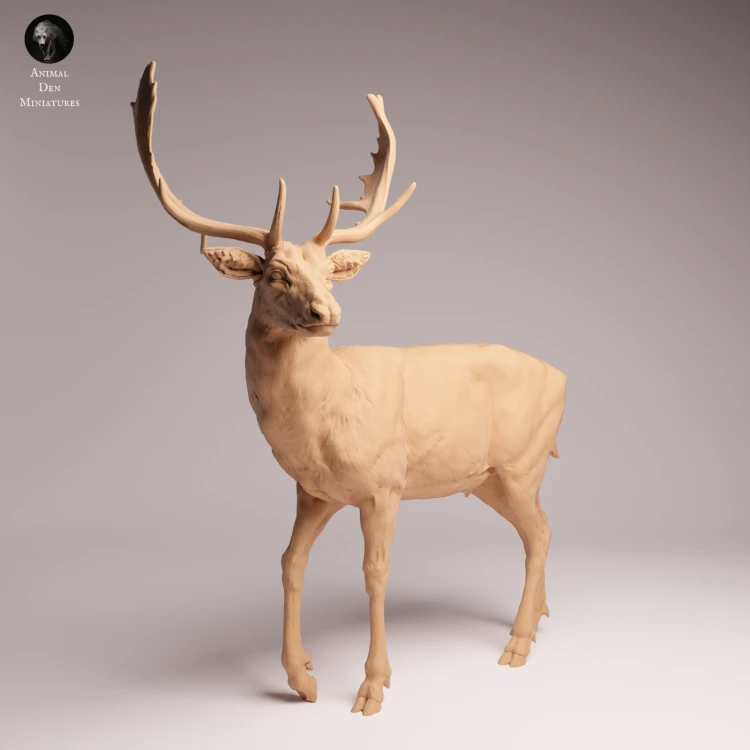 European Fallow Deer - 2.png