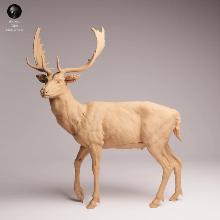 European Fallow Deer - 3.png