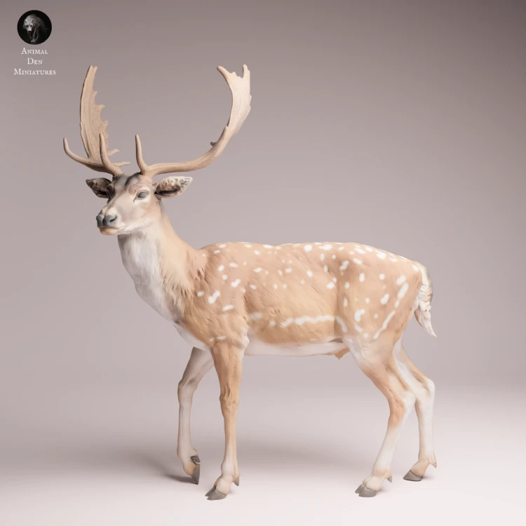 European Fallow Deer - 4.png
