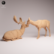 European Fallow Deer and Doe - 3.png
