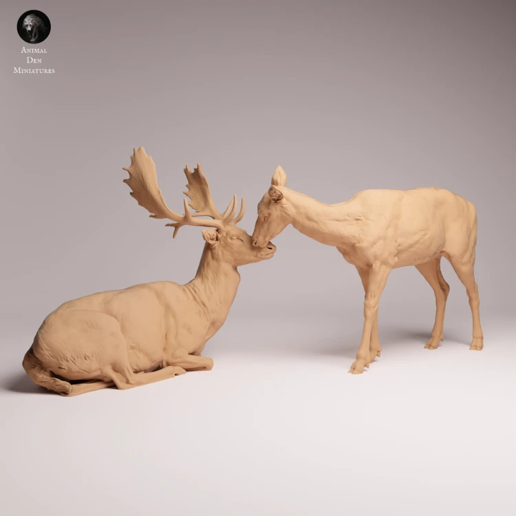 European Fallow Deer and Doe - 3.png