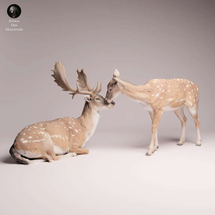 European Fallow Deer and Doe - 4.png