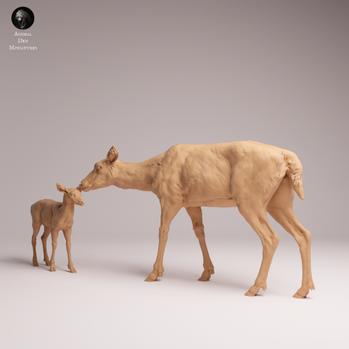 European Fallow Doe and Fawn - 1.png
