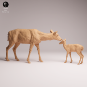 European Fallow Doe and Fawn - 2.png
