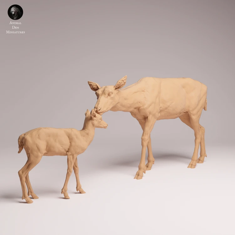 European Fallow Doe and Fawn - 3.png