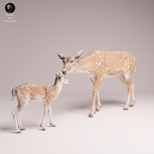 European Fallow Doe and Fawn - 4.png