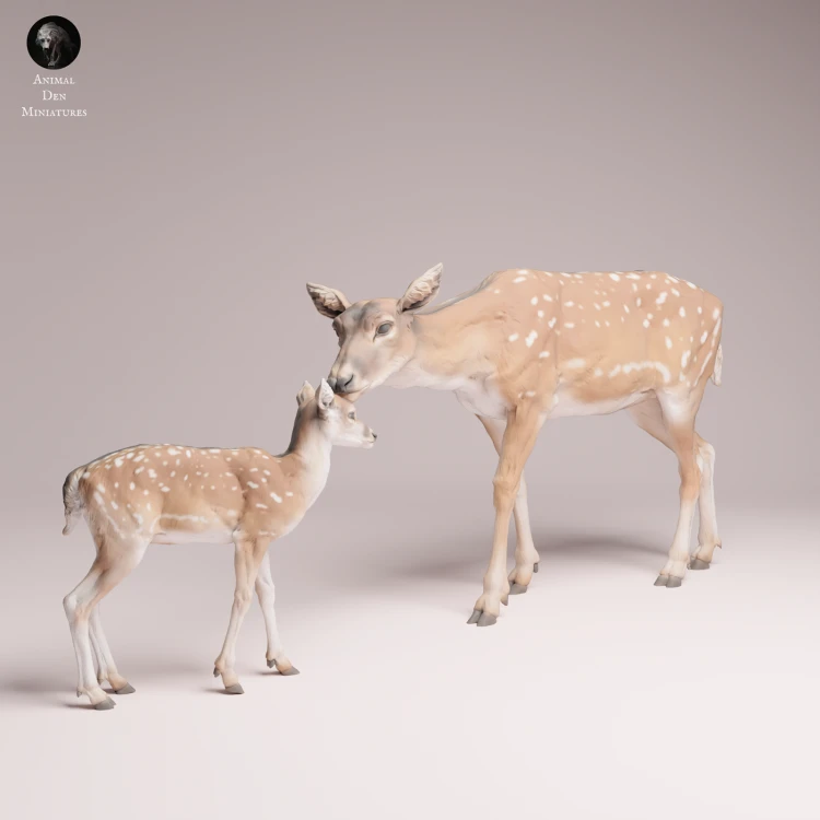 European Fallow Doe and Fawn - 4.png