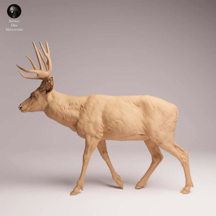 Mule Deer - 1.png
