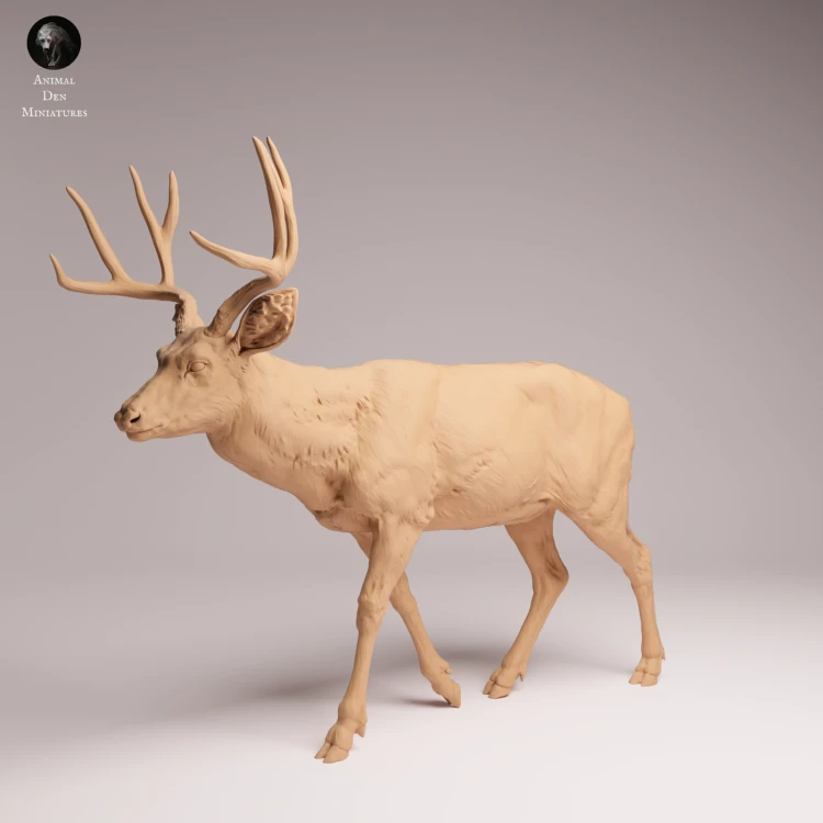Mule Deer - 3.png