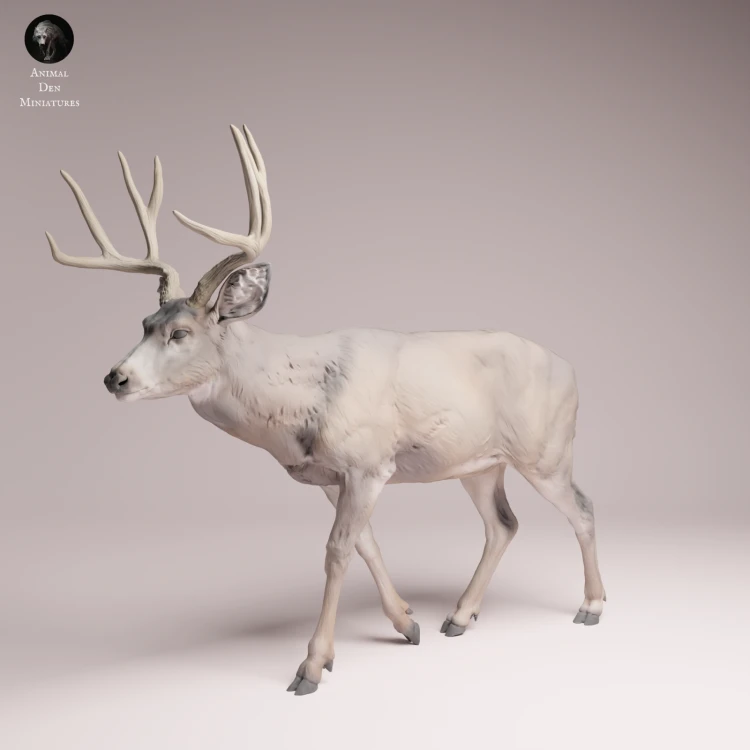 Mule Deer - 4.png