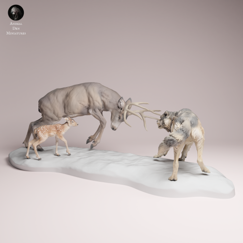 Mule Deer vs Wolf - 4.png