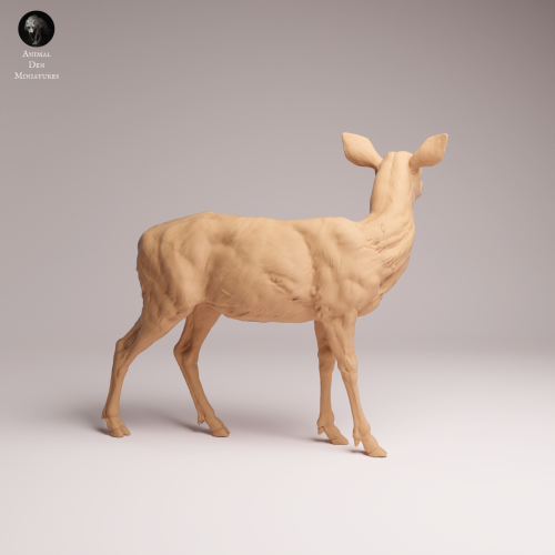 Mule Doe - 1.png