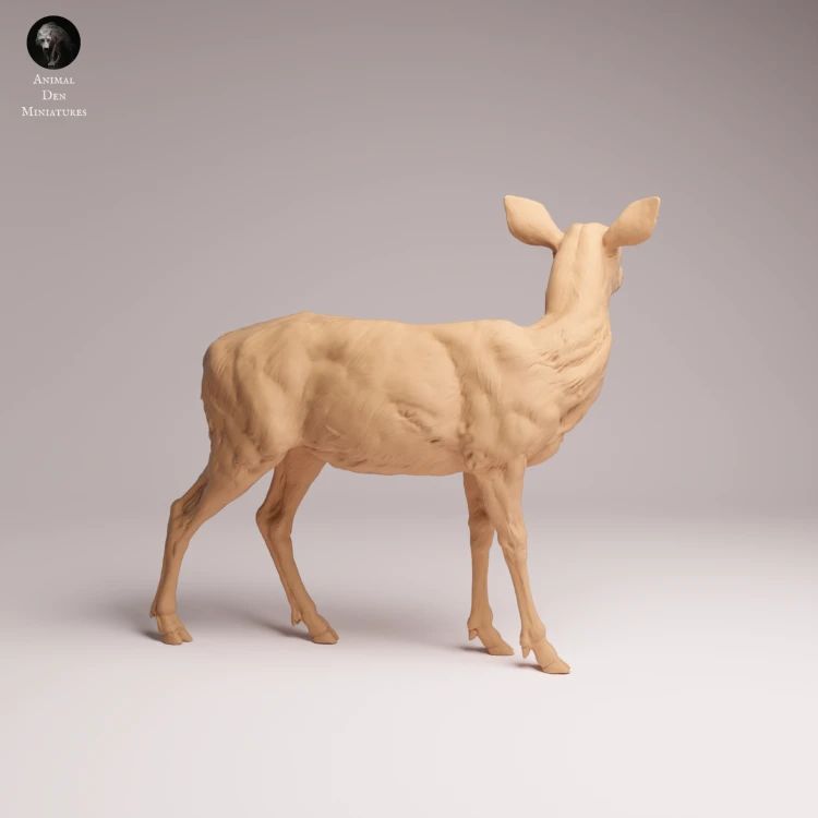 Mule Doe - 1.png