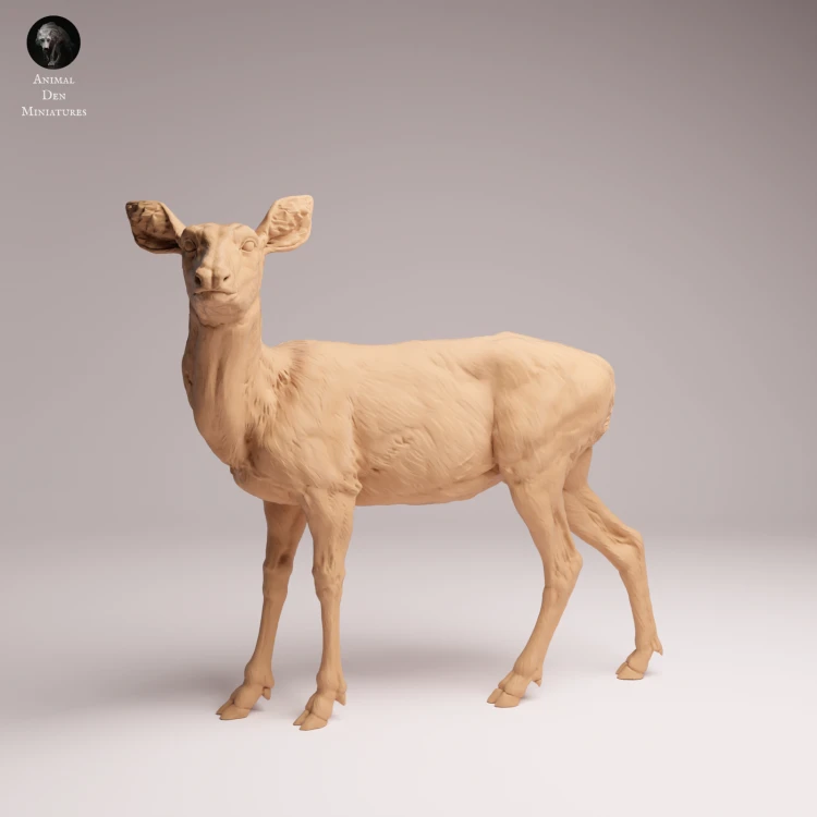 Mule Doe - 3.png