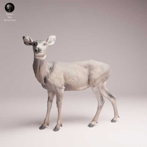 Mule Doe - 4.png